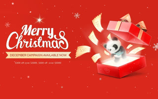 Meet Procolored December Campaign!