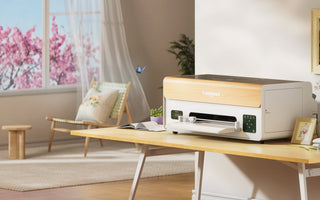 P13 & F13 Pro: Quiet Creation and Instant Returns, 2026 DTF Business Solution