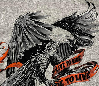 F13 DTF Review - Amy E.