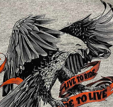 F13 DTF Review - Amy E.