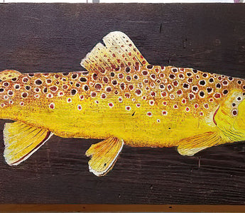 V13 Pro UV Review - J Arthur D.