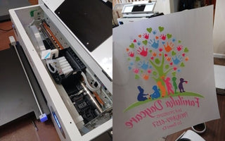 F13 Panda DTF Review - Una A.