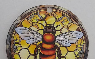 V10 UV Review - Wilma K.