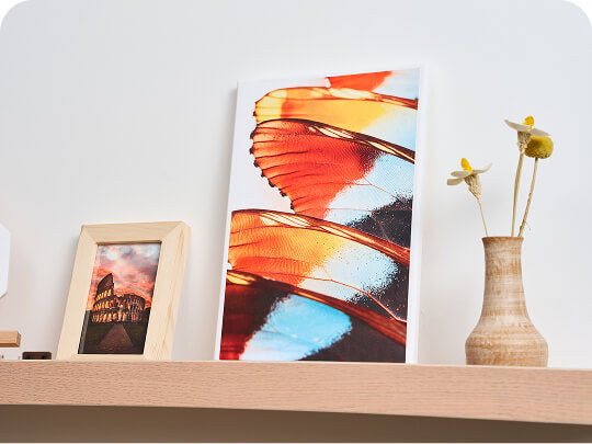 Canvas Wall Art