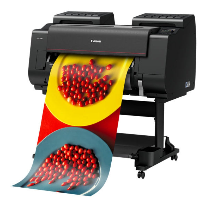 Canon PRO-2100 wide-format printer for exhibition-sized prints.