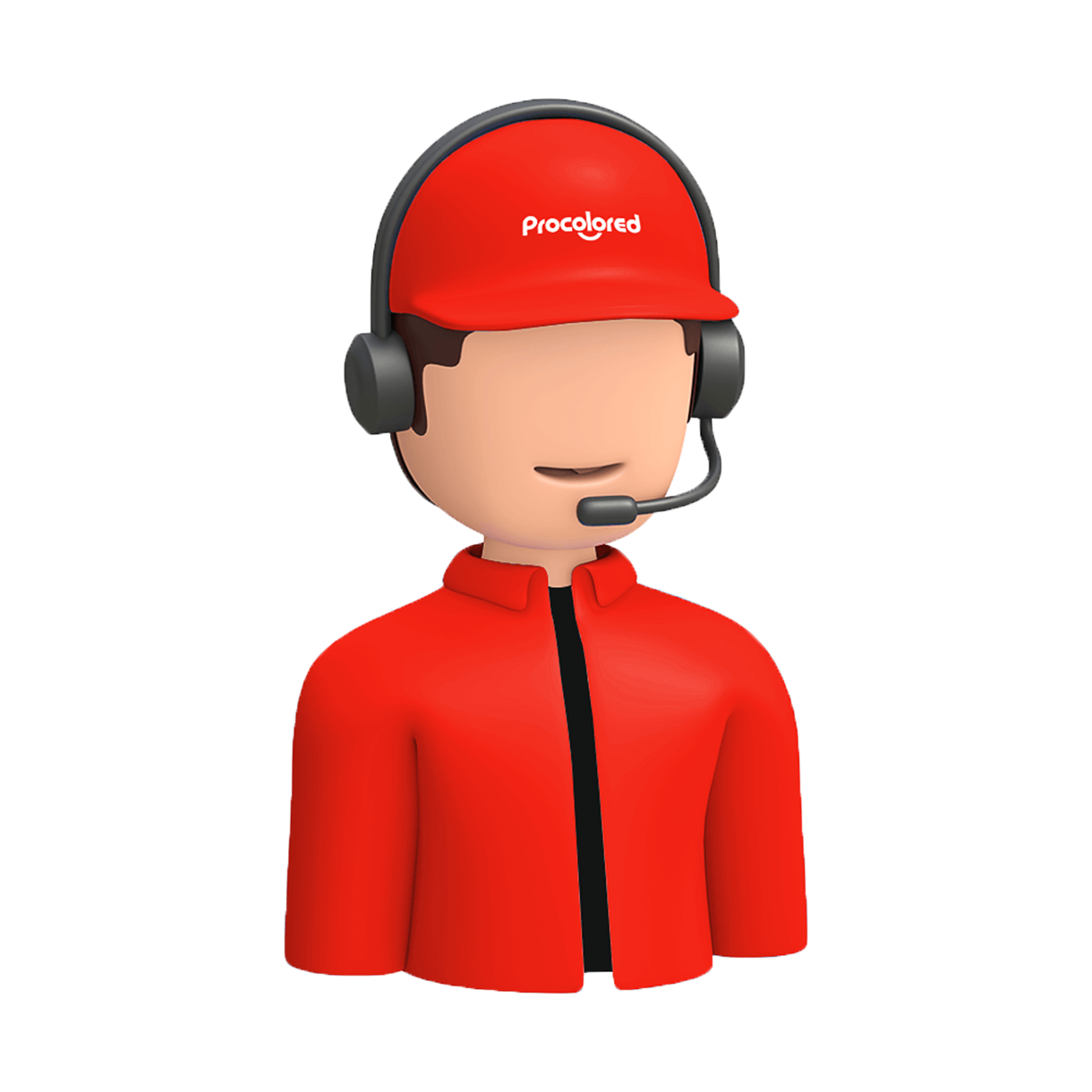 Roche Remote Service